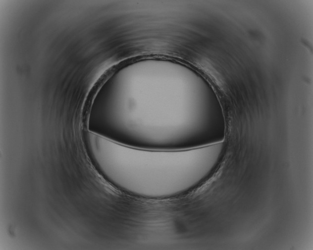 X0000093420924200710120853
