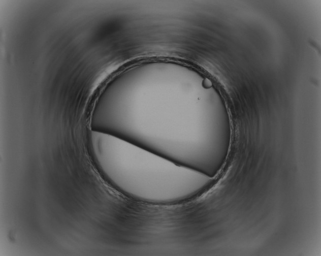 X0000093420925200710120853