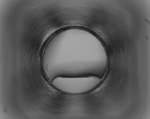 X0000093420926200710120853