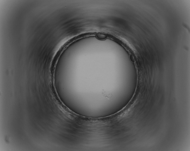 X0000093420927200710120853
