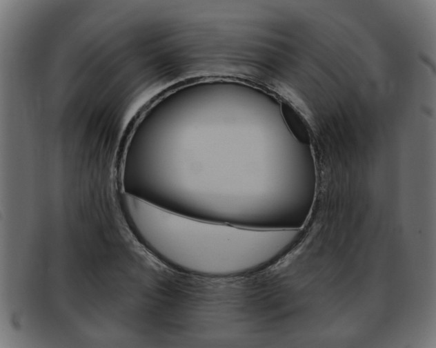 X0000093420928200710120853