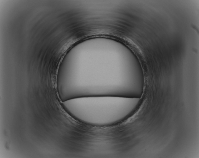 X0000093420929200710120853