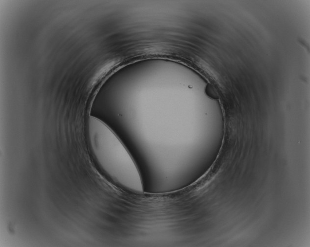 X0000093420930200710120853