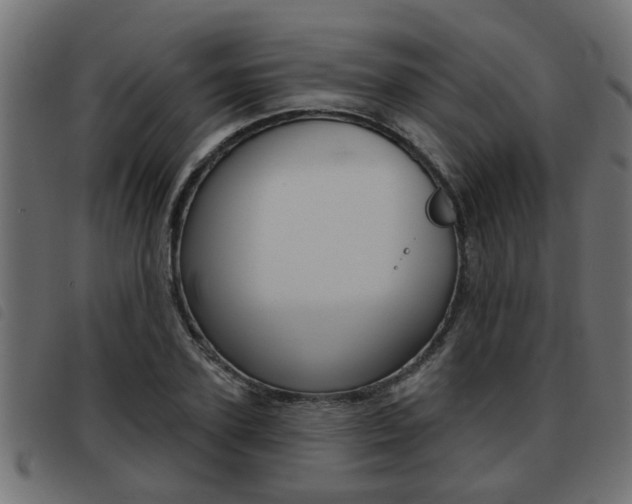 X0000093420931200710120853