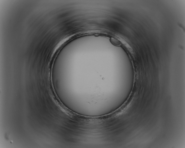 X0000093420933200710120853