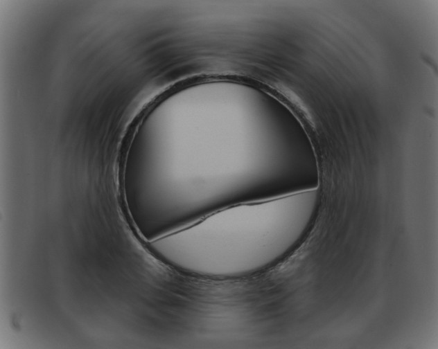 X0000093420935200710120853
