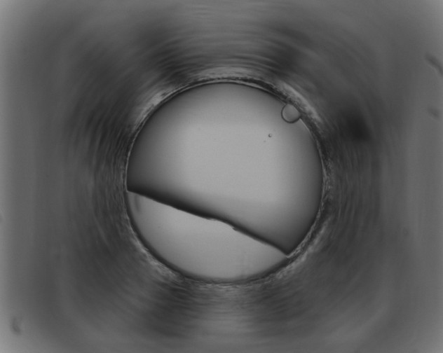 X0000093420937200710120854