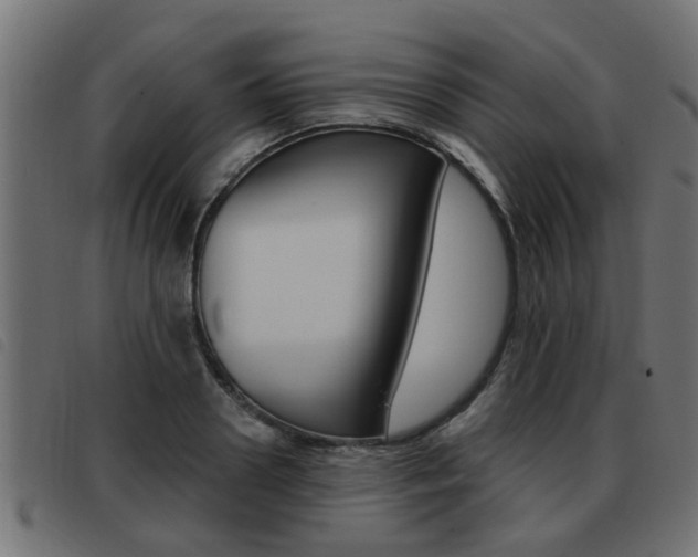 X0000093420938200710120854