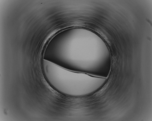 X0000093420939200710120854