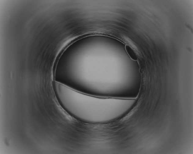 X0000093420940200710120854