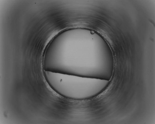 X0000093420941200710120854