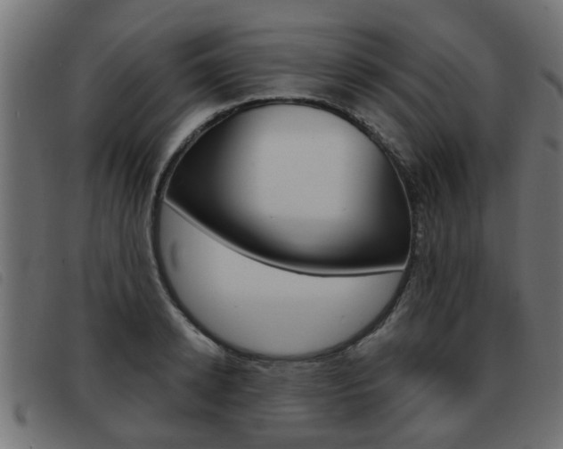 X0000093420942200710120854