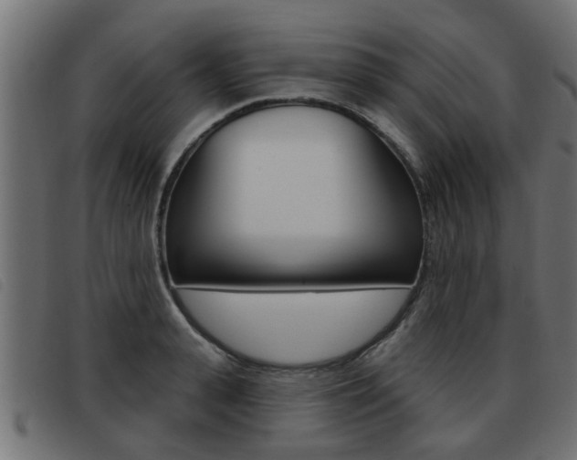 X0000093420943200710120854