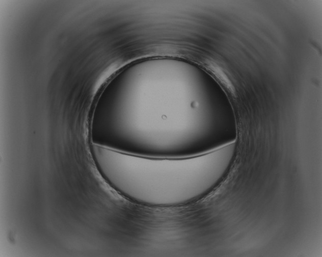X0000093420944200710120854