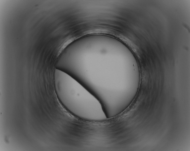 X0000093420945200710120854