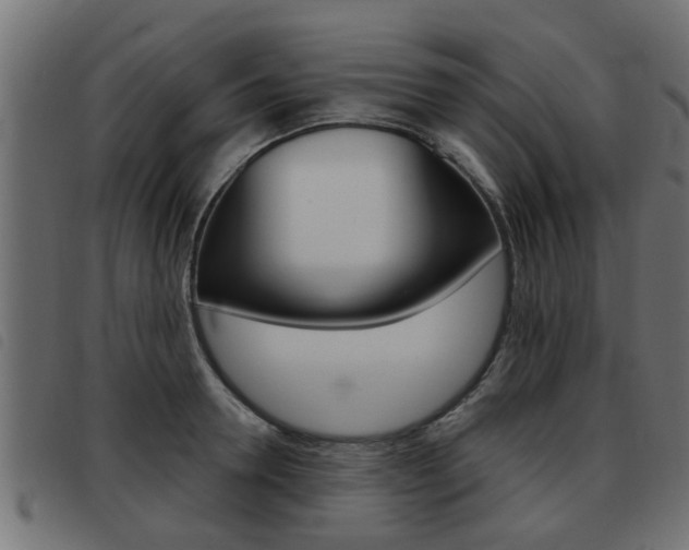 X0000093420946200710120854