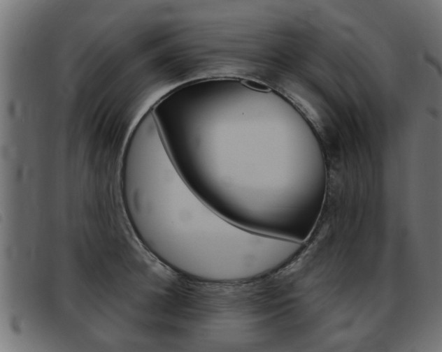 X0000093420948200710120854