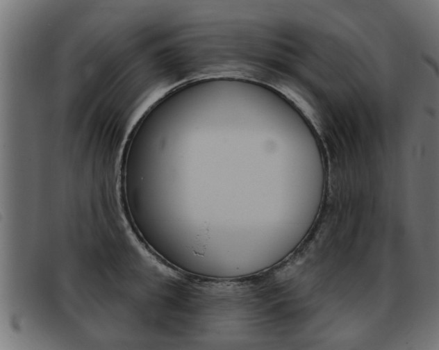 X0000093420949200710120854