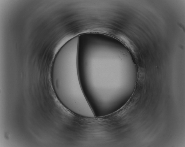 X0000093420952200710120854
