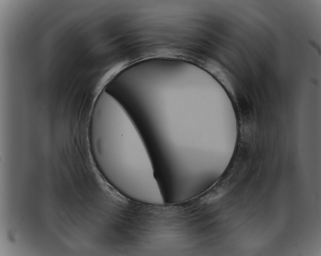 X0000093420954200710120854