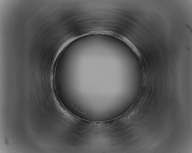 X0000093420955200710120854