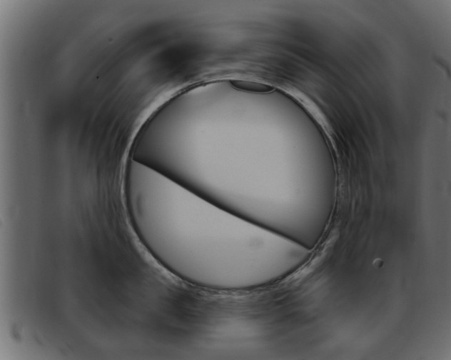 X0000093420957200710120854
