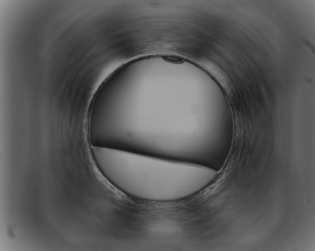 X0000093420958200710120854