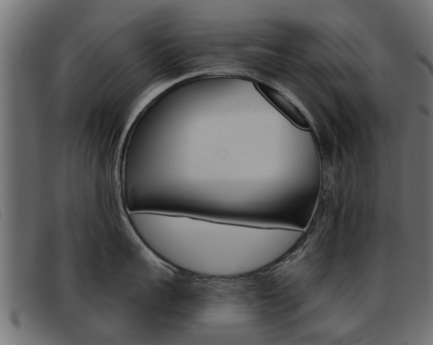 X0000093420959200710120854