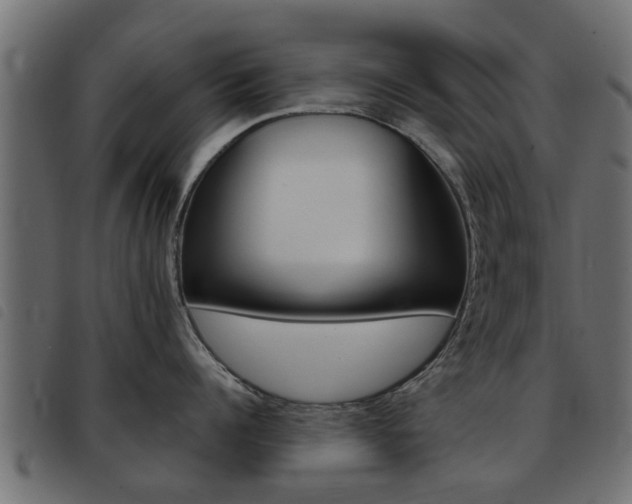 X0000093420960200710120854
