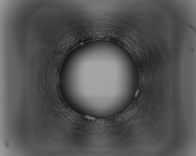 X0000093420961200710120853