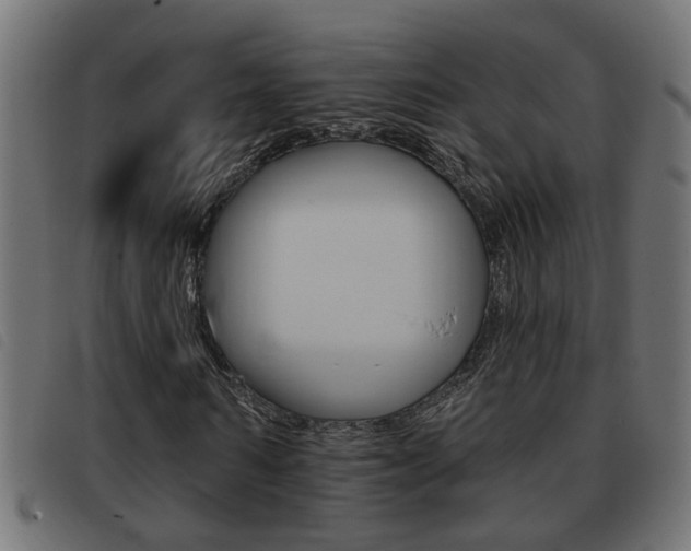 X0000093420962200710120853