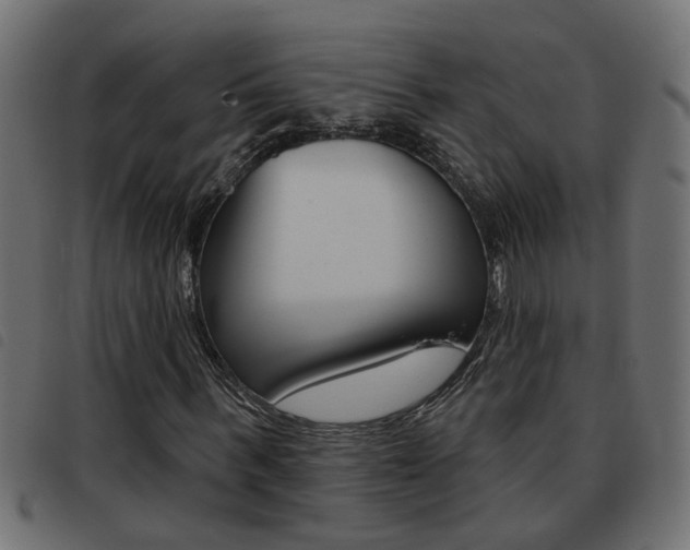 X0000093420963200710120853