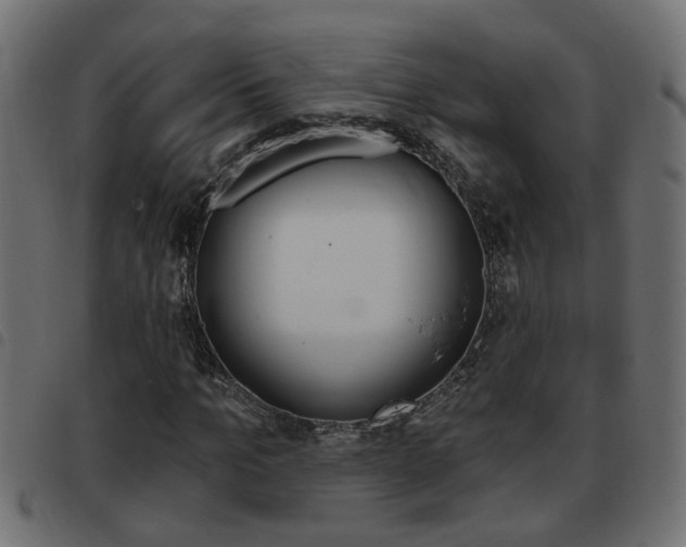 X0000093420965200710120853
