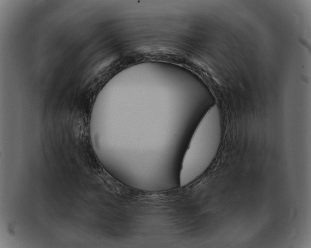 X0000093420966200710120853