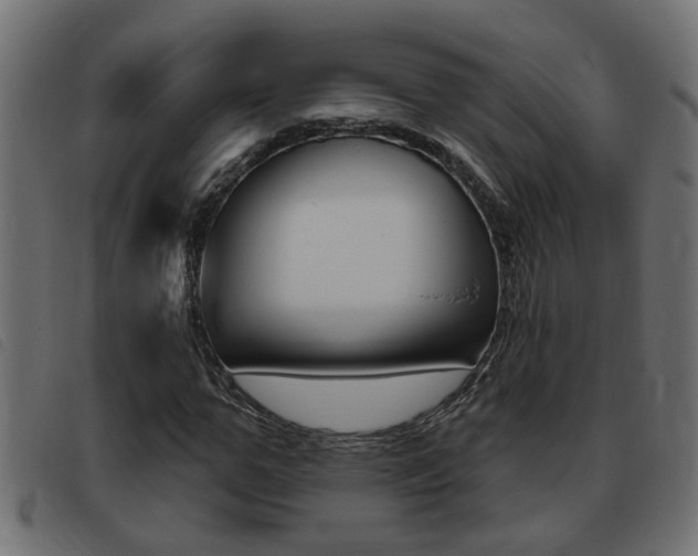 X0000093420967200710120853