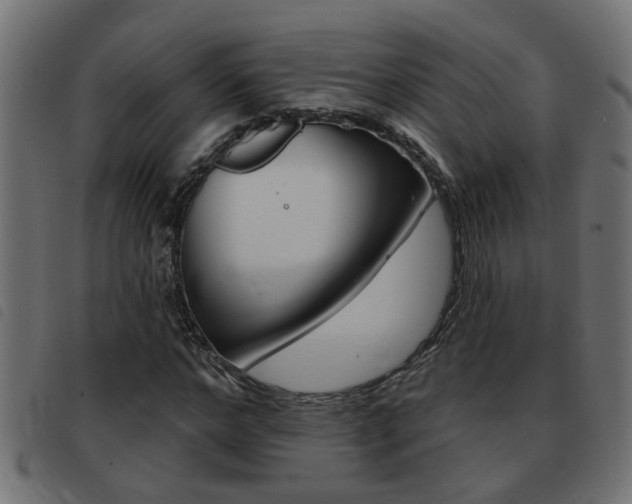 X0000093420968200710120853