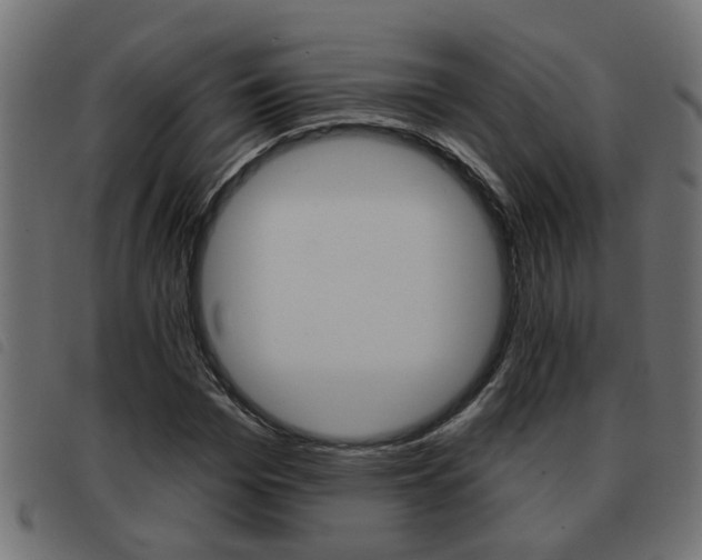 X0000093420969200710120853