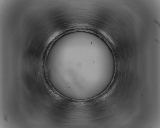 X0000093420970200710120853