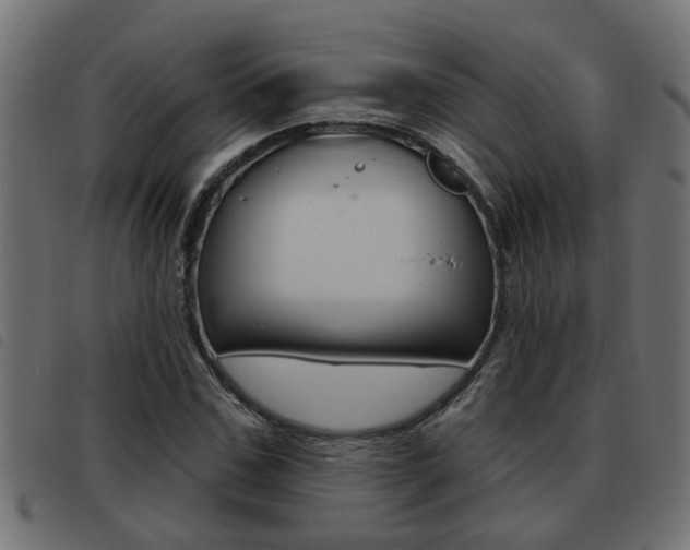 X0000093420971200710120853