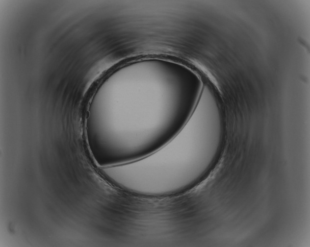 X0000093420973200710120853
