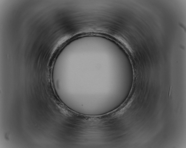 X0000093420974200710120853