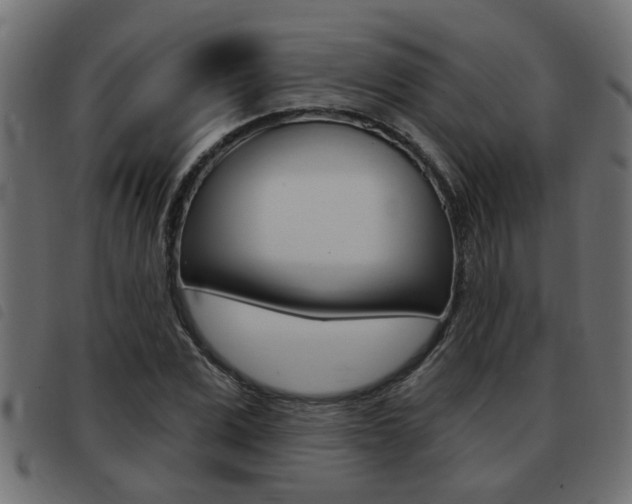X0000093420975200710120853