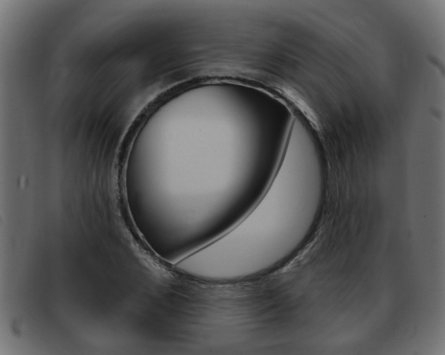X0000093420976200710120853