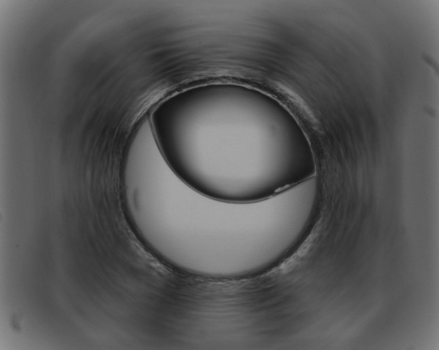 X0000093420977200710120853