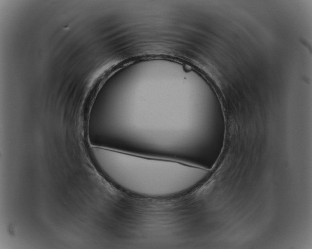X0000093420979200710120853