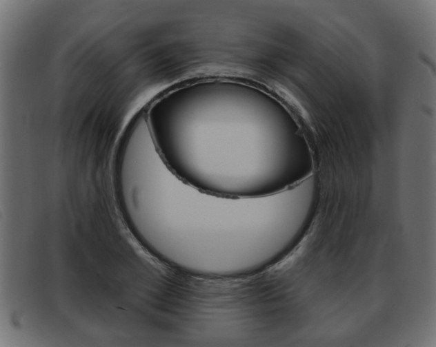 X0000093420981200710120853