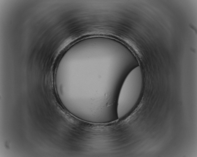 X0000093420982200710120853
