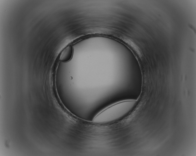 X0000093420983200710120853