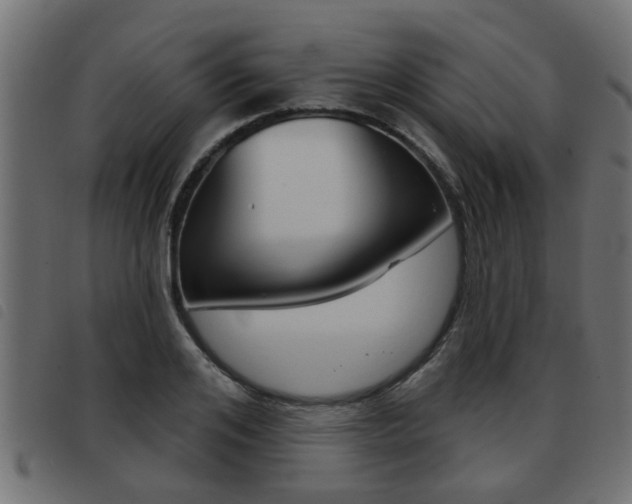 X0000093420984200710120853