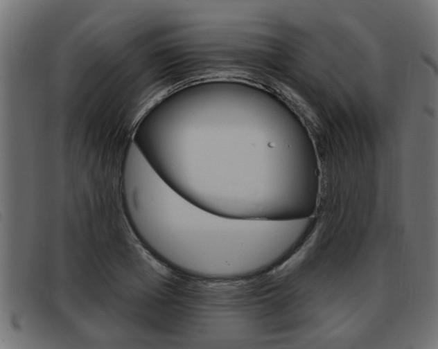X0000093420985200710120853